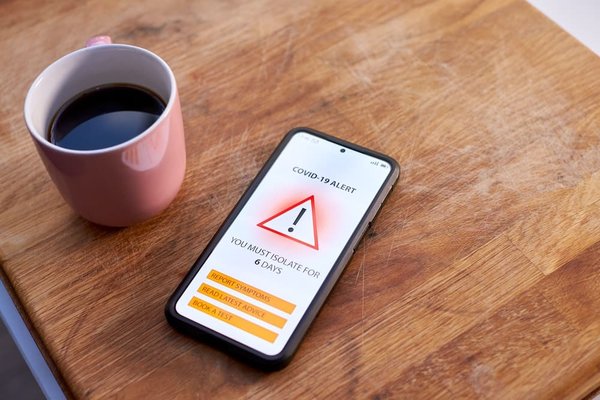 Comment identifier les traces d'animaux sauvages en camping pour les novices ?